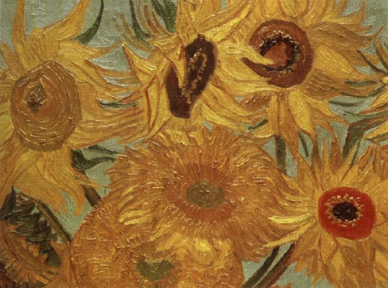 Vincent Van Gogh Sunflowers oil painting image